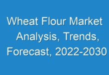 Wheat Flour Market Analysis, Trends, Forecast, 2024-2030