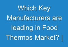 Which Key Manufacturers are leading in Food Thermos Market? | Analysis and Forecast till 2029 by Fact.MR