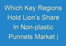 Which Key Regions Hold Lion’s Share In Non-plastic Punnets Market | Present And Future Analysis Till End Of 2031 By Fact.MR