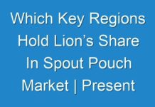 Which Key Regions Hold Lion’s Share In Spout Pouch Market | Present And Future Analysis Till End Of 2031 By Fact.MR