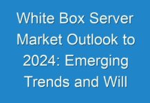 White Box Server Market Outlook to 2024: Emerging Trends and Will Generate New Growth Opportunities Status