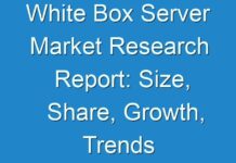 White Box Server Market Research Report: Size, Share, Growth, Trends and Forecast 2024
