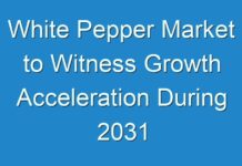 White Pepper Market to Witness Growth Acceleration During 2031