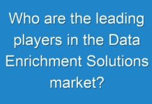 Who are the leading players in the Data Enrichment Solutions market?