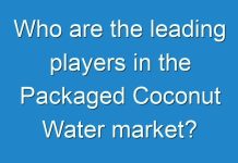 Who are the leading players in the Packaged Coconut Water market?