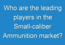 Who are the leading players in the Small-caliber Ammunition market?