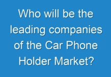 Who will be the leading companies of the Car Phone Holder Market?