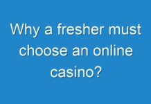 Why a fresher must choose an online casino?