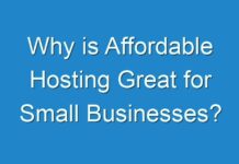 Why is Affordable Hosting Great for Small Businesses?
