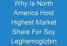 Why Is North America Hold Highest Market Share For Soy Leghemoglobin ? Fact.MR Analyzes