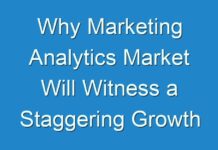 Why Marketing Analytics Market Will Witness a Staggering Growth During 2024 – 2030