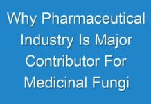 Why Pharmaceutical Industry Is Major Contributor For Medicinal Fungi Market ? Latest Fact.MR Report