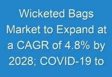Wicketed Bags Market to Expand at a CAGR of 4.8% by 2028; COVID-19 to Affect Future Growth Trajectory