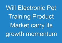 Will Electronic Pet Training Product Market carry its growth momentum post COVID-19? Read more to know