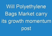 Will Polyethylene Bags Market carry its growth momentum post COVID-19? Read more to know – TMR