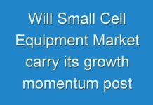 Will Small Cell Equipment Market carry its growth momentum post COVID-19? Read more to know