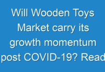 Will Wooden Toys Market carry its growth momentum post COVID-19? Read more to know
