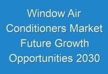 Window Air Conditioners Market Future Growth Opportunities 2030