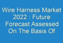 Wire Harness Market 2024 : Future Forecast Assessed On The Basis Of How The Market Is Predicted To Grow