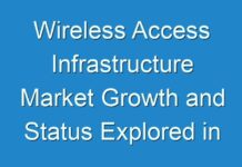 Wireless Access Infrastructure Market Growth and Status Explored in a New Research Report (2024 – 2026)