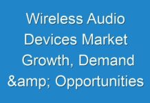 Wireless Audio Devices Market Growth, Demand & Opportunities & Forecast To 2024
