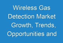 Wireless Gas Detection Market Growth, Trends, Opportunities and Forecast to 2024