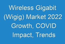 Wireless Gigabit (Wigig) Market 2024 Growth, COVID Impact, Trends Analysis Report 2027