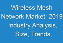 Wireless Mesh Network Market: 2019 Industry Analysis, Size, Trends, Growth and Forecast 2027