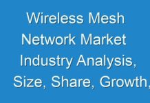 Wireless Mesh Network Market Industry Analysis, Size, Share, Growth, Trend And Forecast 2024 – 2027