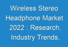 Wireless Stereo Headphone Market 2024 : Research, Industry Trends, Supply, Sales, Demands, Analysis And Insights