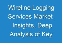 Wireline Logging Services Market Insights, Deep Analysis of Key Vendor in the Industry 2019-2029