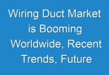 Wiring Duct Market is Booming Worldwide, Recent Trends, Future Forecasts, Growth Rate Analysis 2024 – 2026