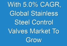 With 5.0% CAGR, Global Stainless Steel Control Valves Market To Grow Due To Rising Shortage Of Clean Water