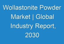 Wollastonite Powder Market | Global Industry Report, 2030