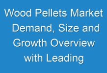 Wood Pellets Market Demand, Size and Growth Overview with Leading Participants – Canfor, Schweighofer, Stora Enso and More
