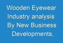 Wooden Eyewear Industry analysis By New Business Developments, Innovations, And Top Companies 2017 – 2025