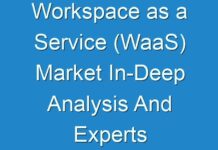 Workspace as a Service (WaaS) Market In-Deep Analysis And Experts Review Report 2024-2026