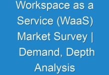 Workspace as a Service (WaaS) Market Survey | Demand, Depth Analysis and Estimated Forecast 2024-2027