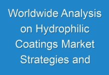 Worldwide Analysis on Hydrophilic Coatings Market Strategies and Forecast, 2017 to 2025
