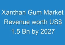 Xanthan Gum Market Revenue worth US$ 1.5 Bn by 2027
