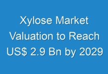 Xylose Market Valuation to Reach US$ 2.9 Bn by 2029