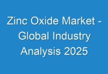 Zinc Oxide Market – Global Industry Analysis 2025
